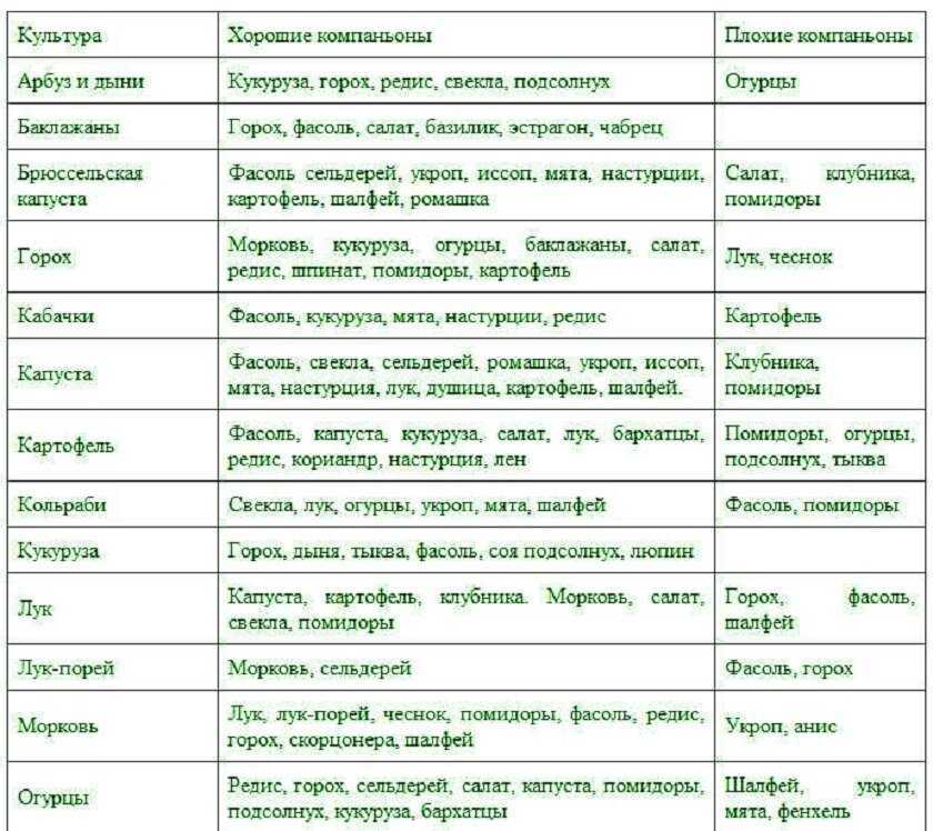 Смешанные посадки — каким культурам лучше расти вместе?. лучшие растения-соседи. фото — ботаничка