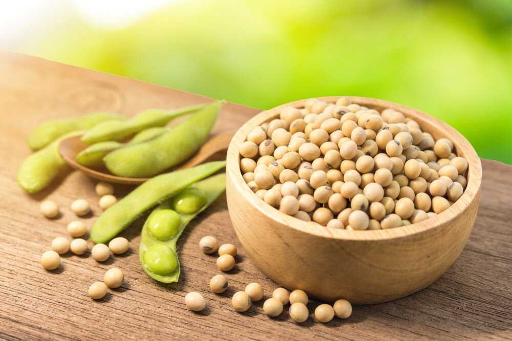 10 превосходных продуктов, богатых соей - улучшите свое здоровье сегодня!