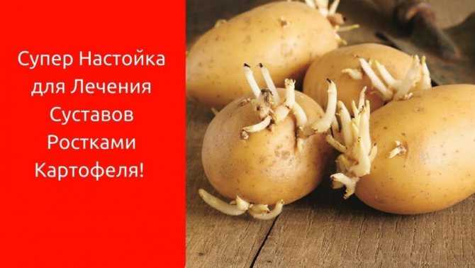 Лечение картофелем: целебные свойства компресса из картошки при бронхите, можно ли есть ягоды растения при подагре, применение в народной медицине, лекарство