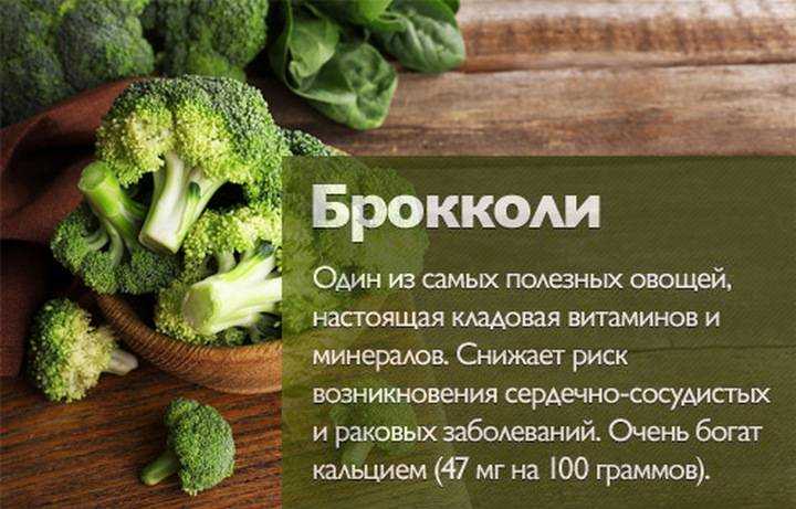 Брокколи: польза и вред для здоровья, лечебные свойства