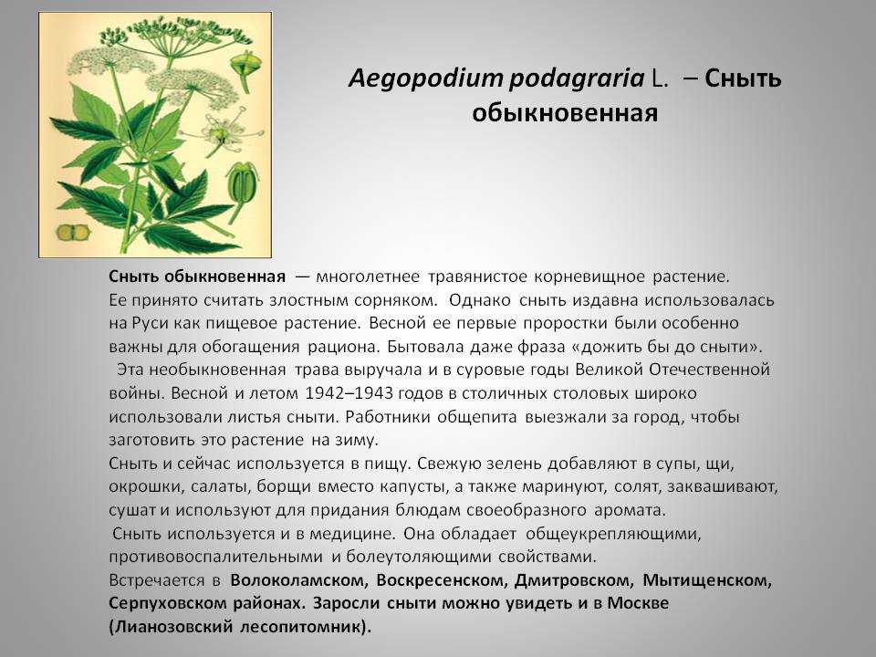 Весеннее меню: 10 вкусных и полезных блюд