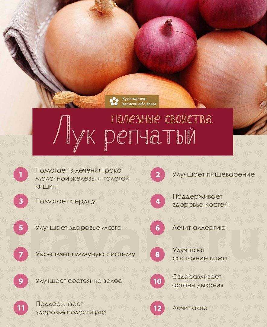 Можно ли беременным есть репчатый лук?