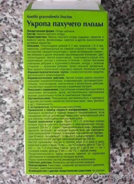 Узнайте, можно ли есть укроп во время беременности на поздних и ранних сроках, почему хочется кушать это растение, полезно ли употреблять свежую зелень и семена, поможет ли от отеков Читайте о пользе и вреде Дан рецепт отвара и иные