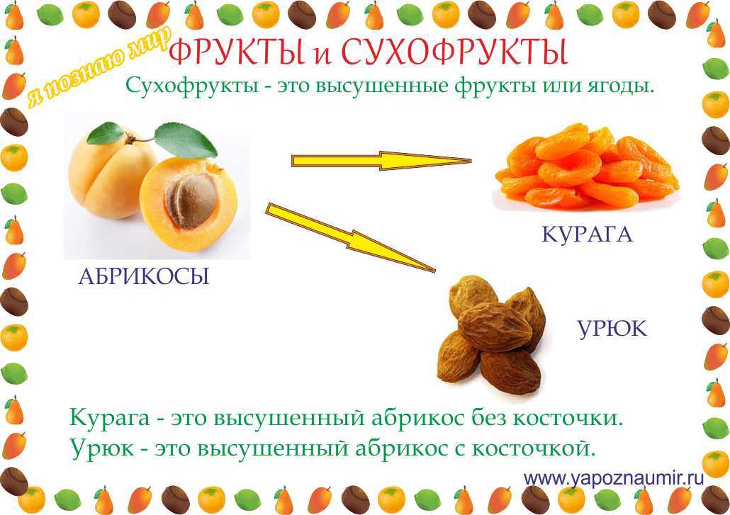 Тверские сушки: как их делают и что можно из них приготовить