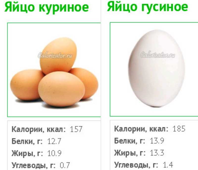 Сколько яиц можно есть в день взрослым и детям: норма потребления