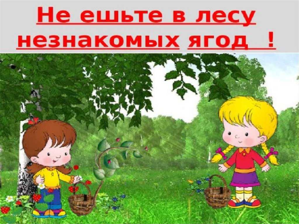 Колодяжный андрей: андрей колодяжный | chef.ru |  
