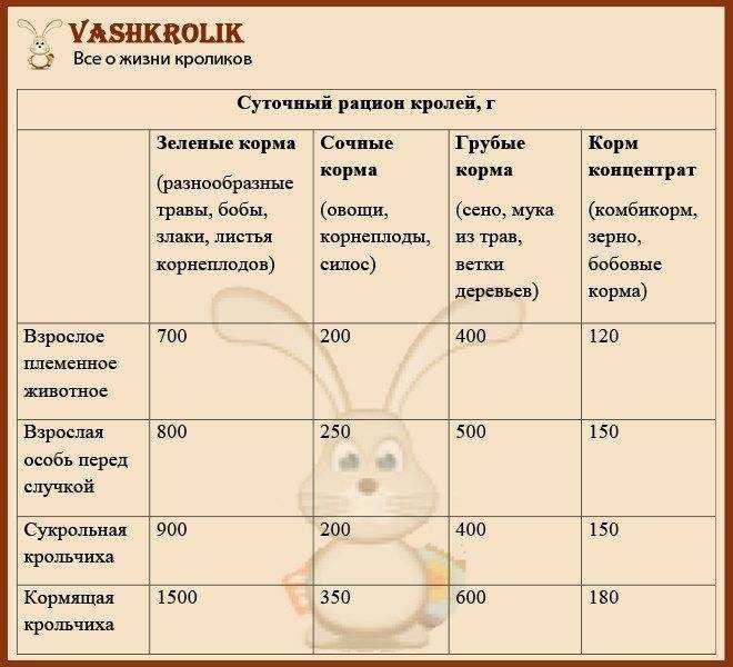 Можно ли давать кроликам красную свеклу и сырую картошку: советы