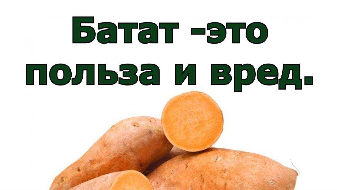 Топинамбур - биотехнологический потенциал | www.untehdon.ru
