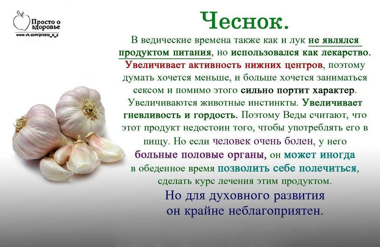 Необыкновенная польза репчатого лука для организма, 7 целебных качеств