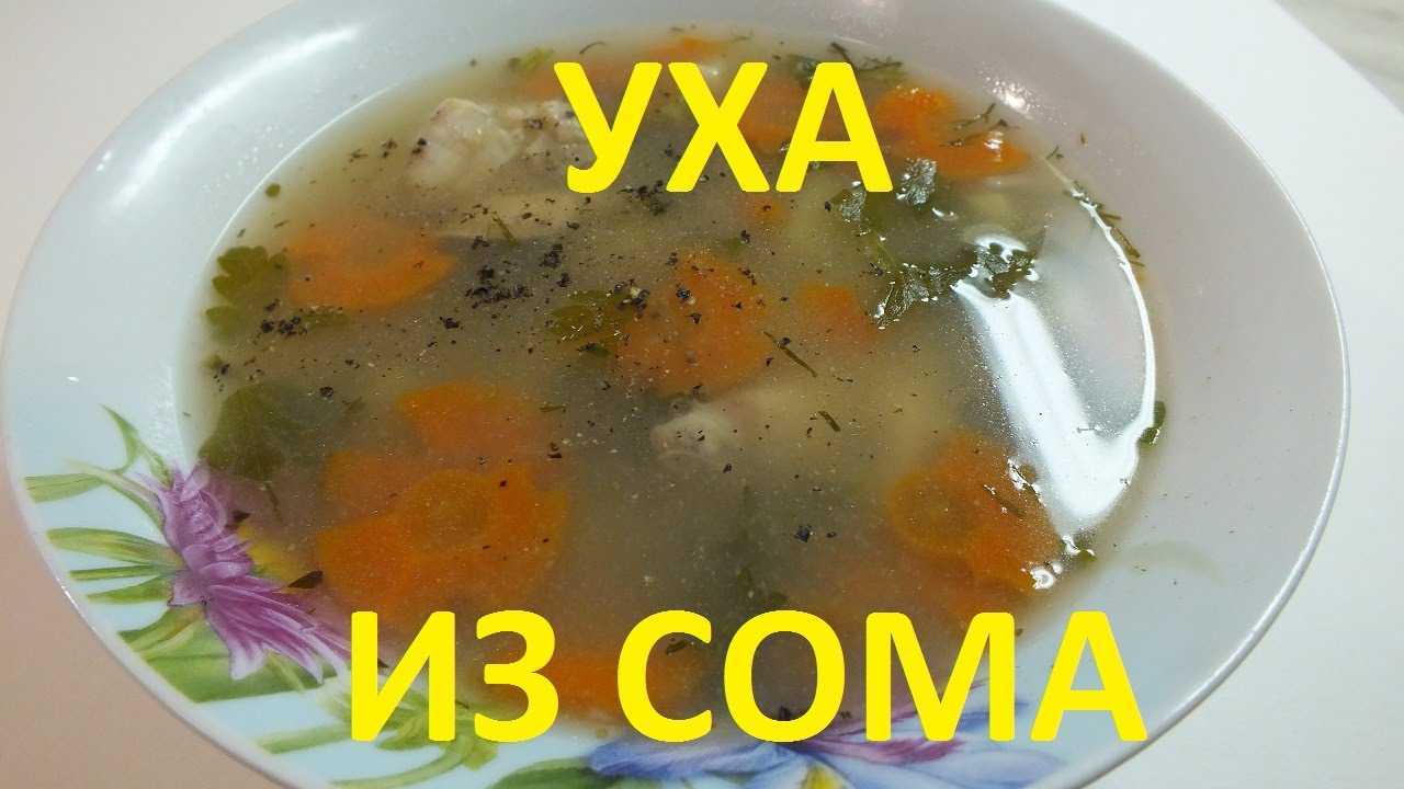 ᐉ уха из головы сома - рыбные рецепты - ✅ ribalka-snasti.ru