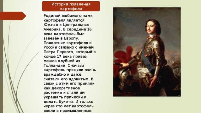 История картофеля в европе и россии