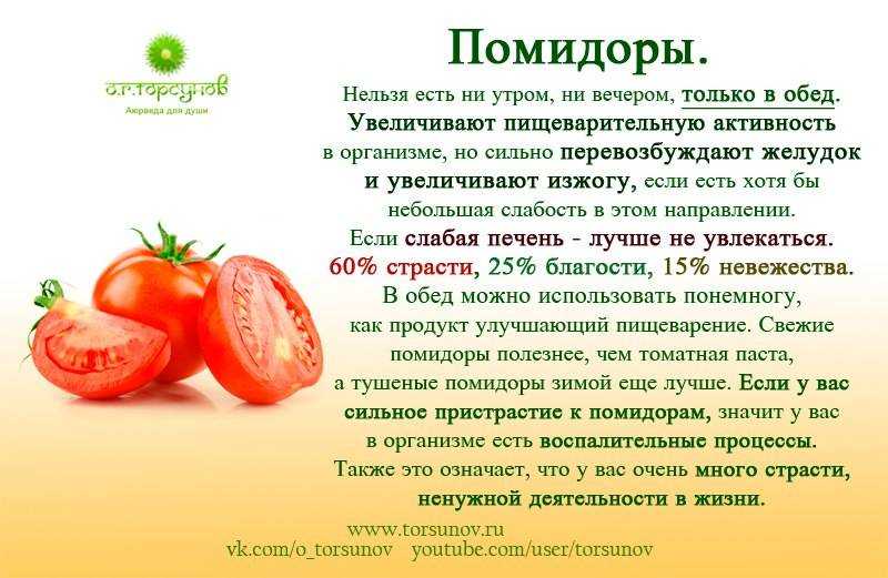 Помидоры: польза и вред для организма человека свежих томатов