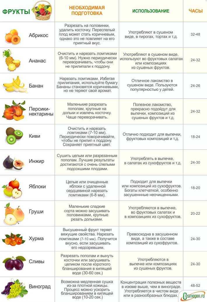Щавель на зиму - лучшие рецепты заготовки щавеля