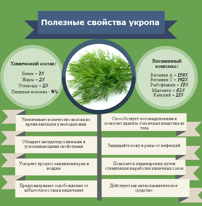 Узнайте, как правильно заварить укроп в кипятке, от чего помогает настой, какие у него полезные свойства и в чем вред, можно ли пить чай из свежей зелени для похудения, как часто нужно принимать для пользы здоровья