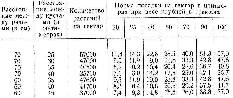 Урожайность картофеля с 1 га: как вырастить хороший урожай, как повысить урожай