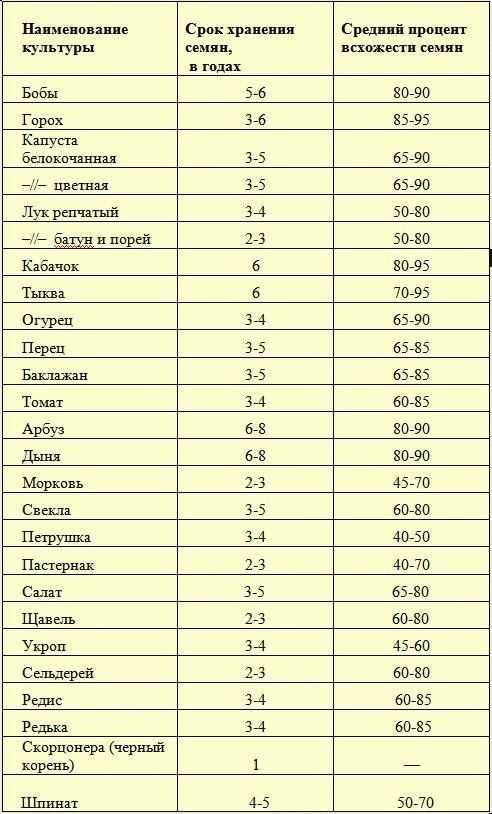 Всхожесть семян петрушки. / асиенда.ру