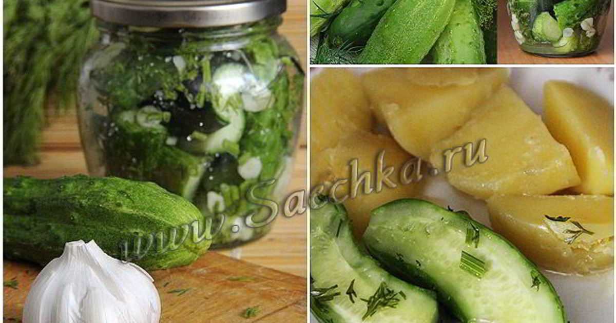Рецепт настоящих бродячих огурцов в банках: просто и вкусно