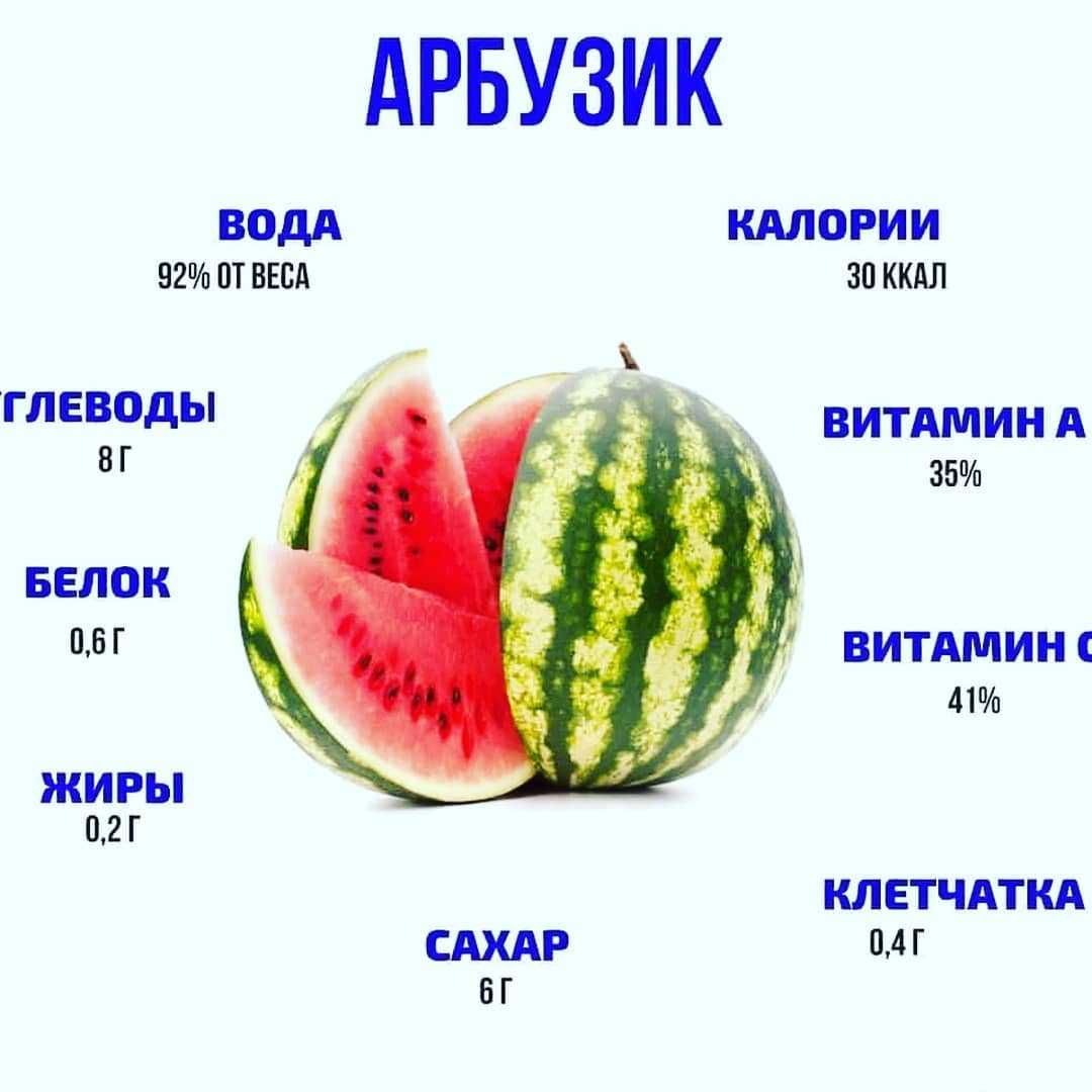 Сочно будет точно! чем полезны и вредны арбузы и дыни