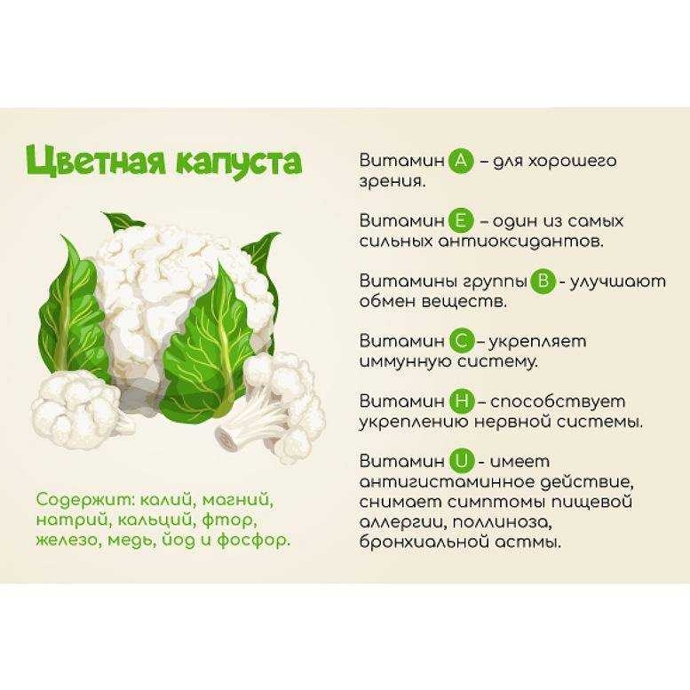 Выращивание цветной капусты — от посева семян до сбора урожая