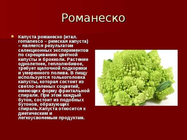 Романеско капуста: рецепты приготовления блюд с фото и описанием