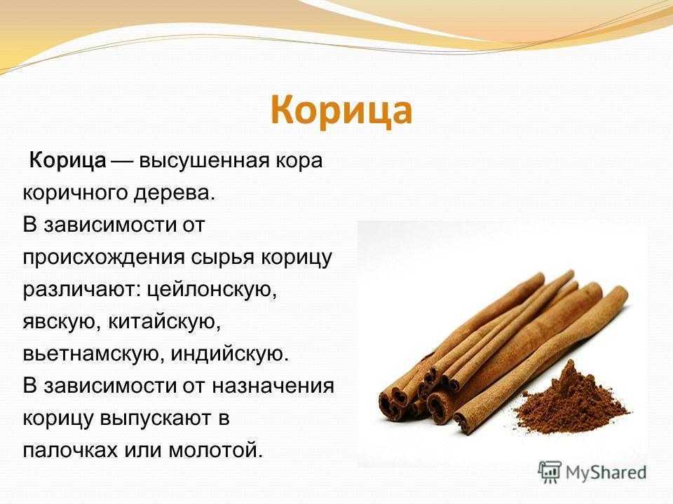 Корица: полезные свойства
