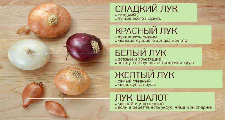 Диета при обострении язвы желудка — стол № 1а — surgery-first.ru