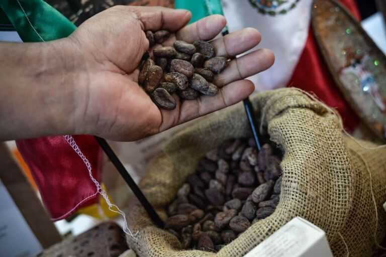 Слоу Фуд Slow Food за сознательное и ответственное потребление Slow Food Слоу Фуд — одна из самых известных и влиятельных эко-гастрономических организаций в мире