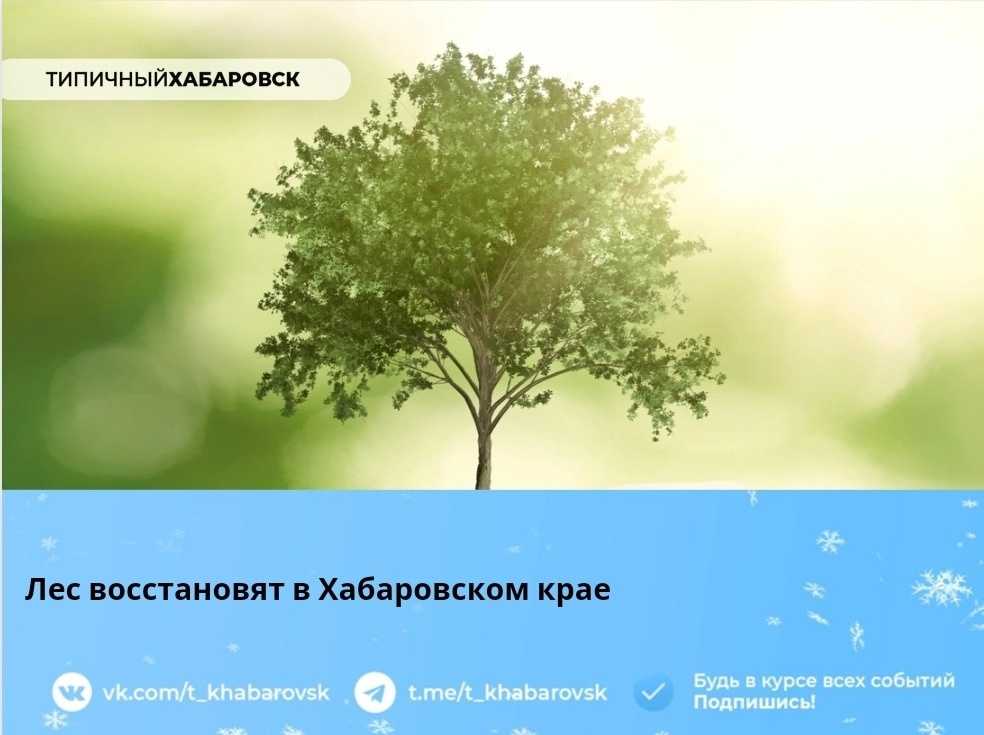 «сдай макулатуру — спаси дерево». экологическая акция (2 фото)