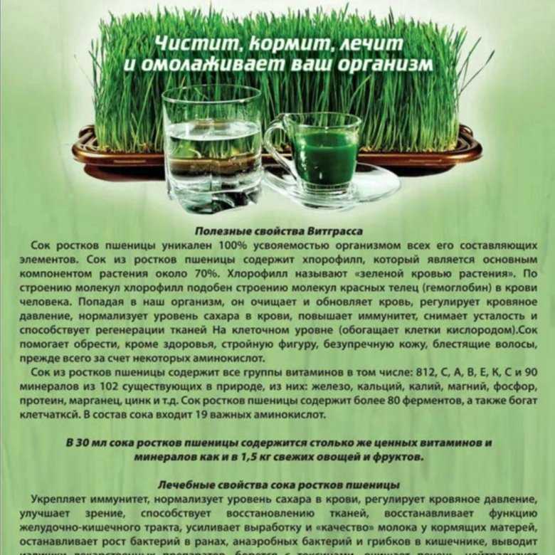 Сок витграсс - жизнь в движении