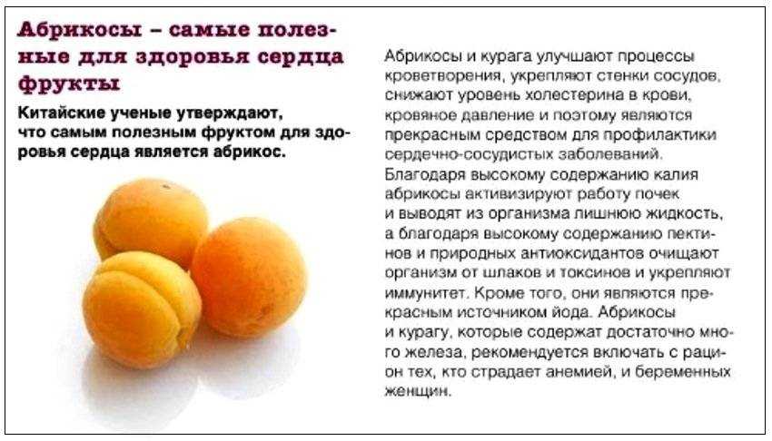 Курага: польза и вред для организма, сколько нужно съесть