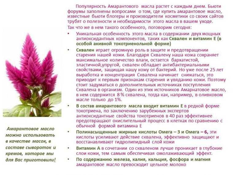 Семена амаранта: польза и вред для организма человека