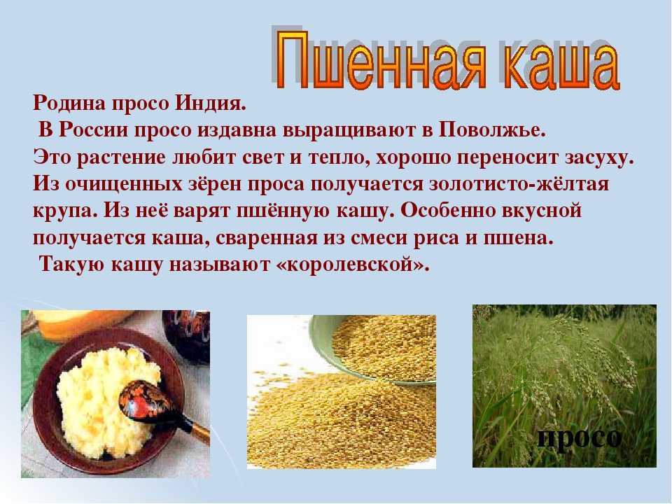 Второй прикорм: вводим кашу в рацион ребенка