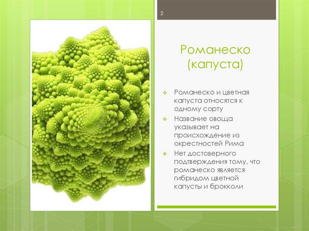 ᐉ как готовить капусту романеско - godacha.ru