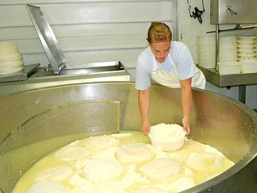 Самый полезный сыр, который необходимо включить в рацион питания