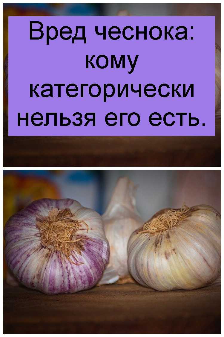 Как влияет чеснок на печень – польза и вред