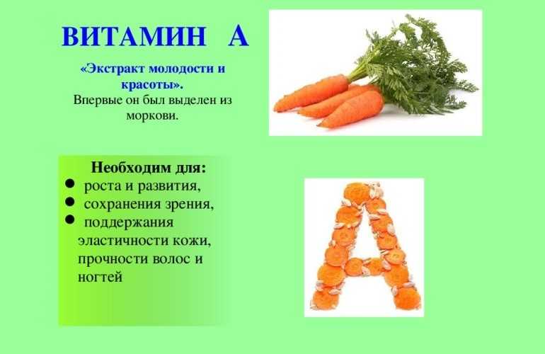 Морковь польза и вред для организма человека