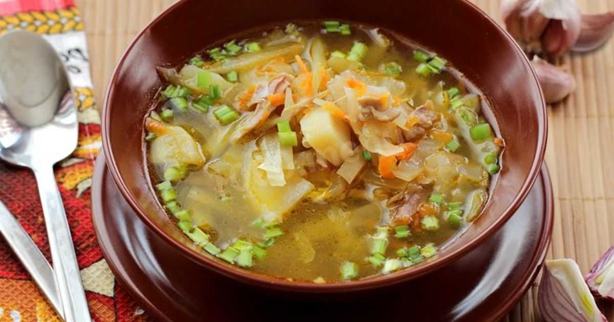 Щи из квашеной капусты в мультиварке, рецепты со свининой, грибами, фасолью, курицей, классические
