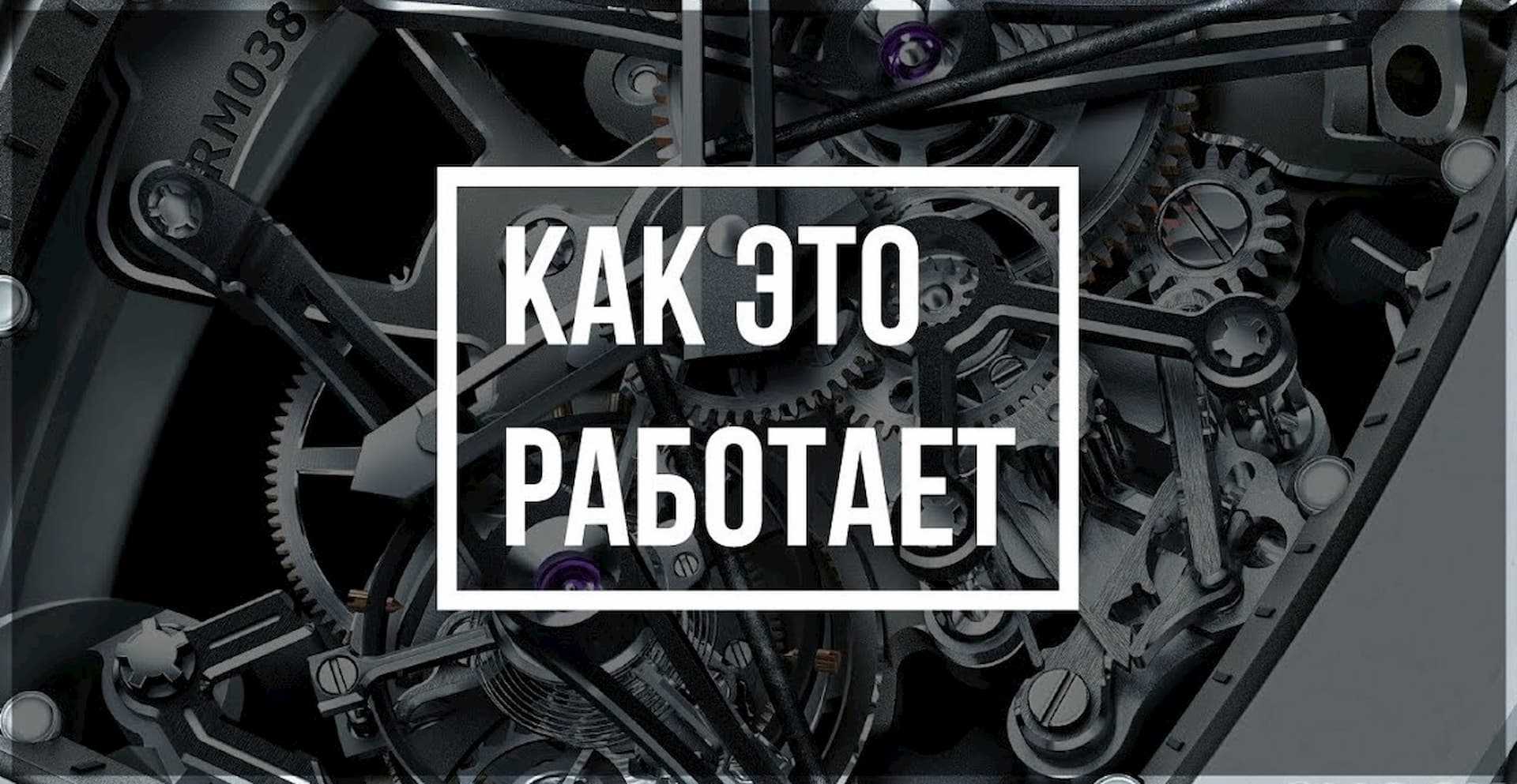 Фудшеринг — спасение еды, подробно о том, что это, как построена работа, какую еду спасают, рассказывают основательницы проектов фудшеринга в Петербурге