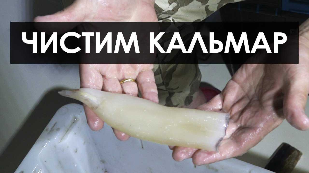 Кальмары как чистить и варить, быстро, пошагово. пошаговый рецепт самый вкусный салат с кальмарами