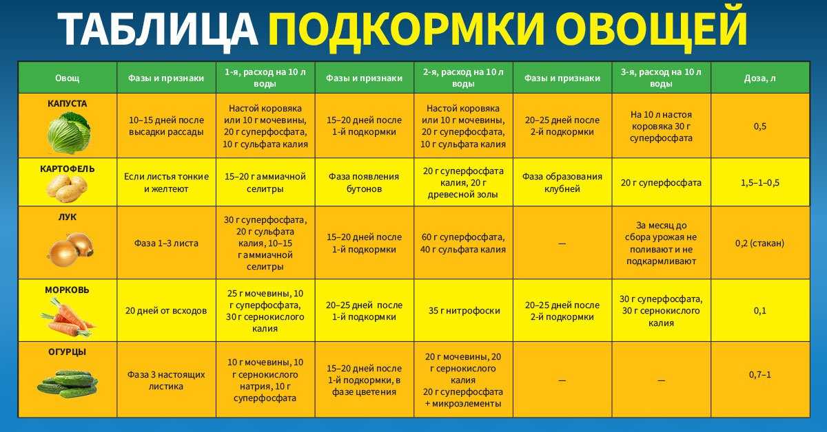 Как, когда и чем подкармливать морковь?: характеристики, свойства, методы