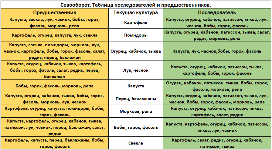 Что сажать после картофеля на следующий год? после чего сажать картофель. таблица севооборота