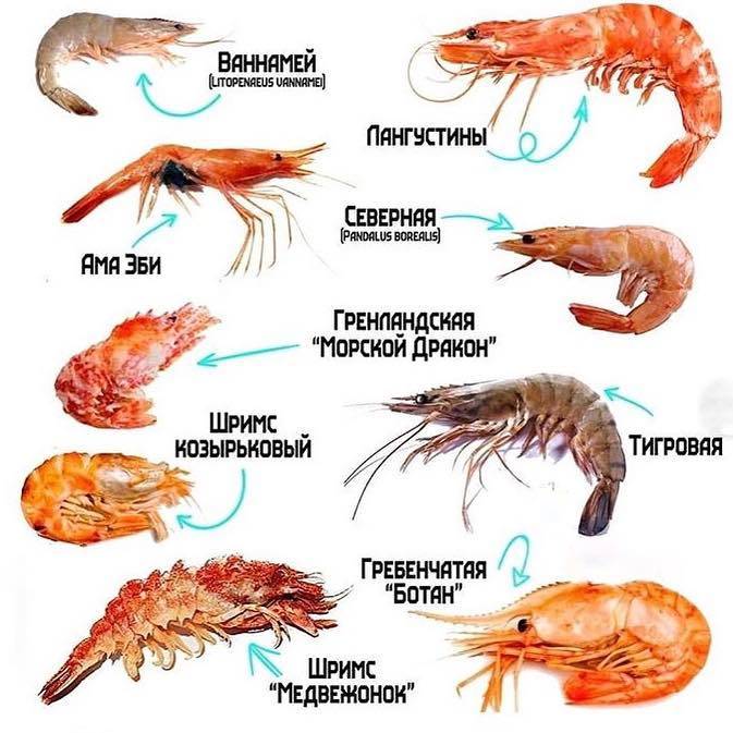 Как жарить креветки