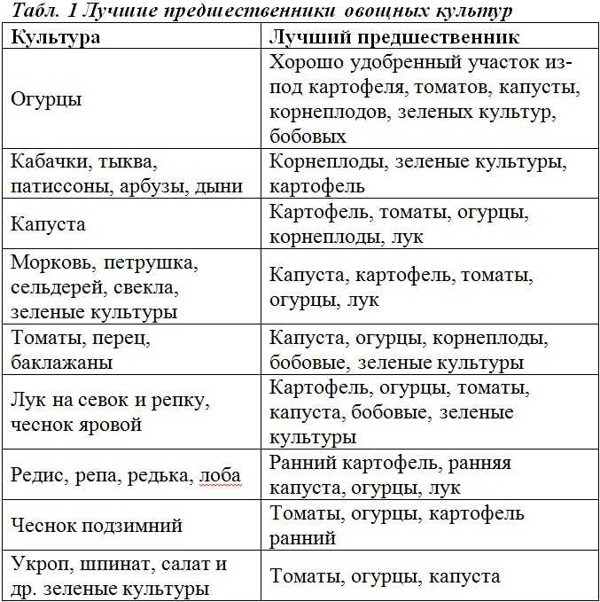 Что можно сажать после уборки лука и чеснока: что посадить, таблица