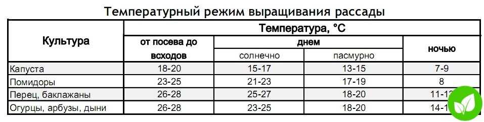 Капуста: когда высаживать в открытый грунт в сибири и на урале, боится ли она заморозков