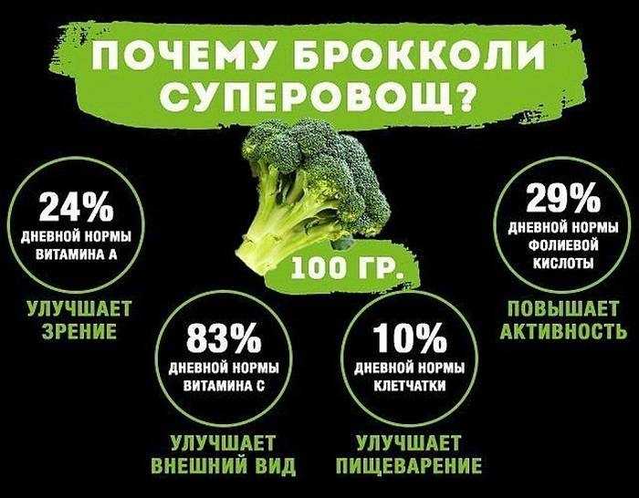 Брокколи: польза и вред для здоровья человека, противопоказания к употреблению