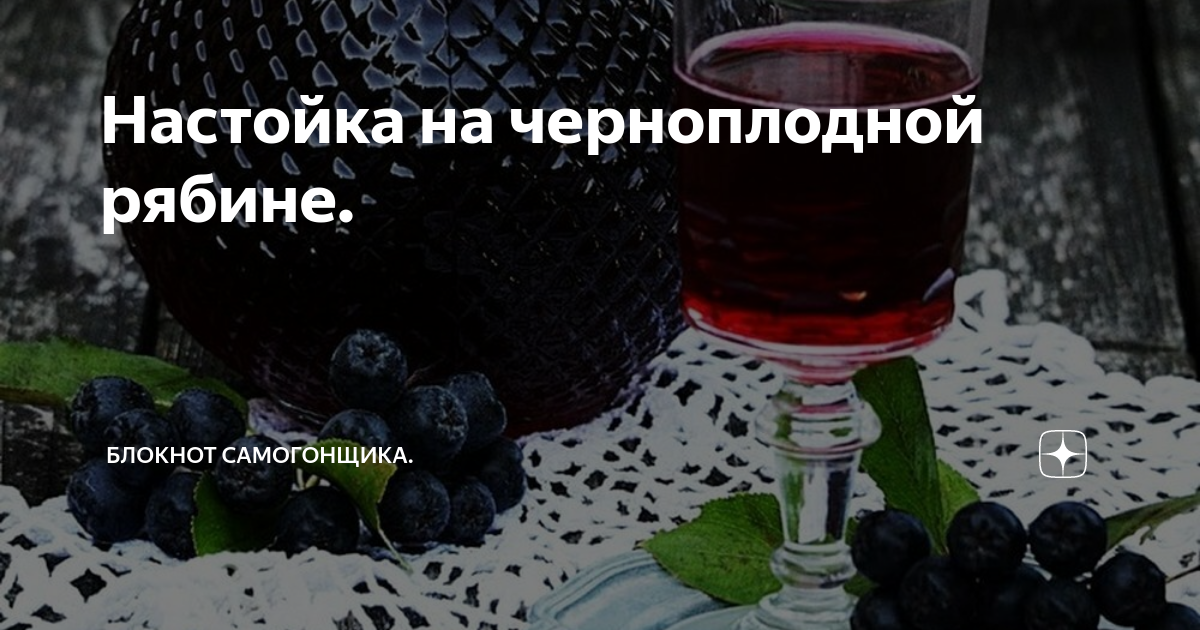 Домашние настойки из черноплодной и красной рябины — простые и оригинальные рецепты