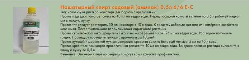 Подкормка капусты в открытом грунте: когда и какие удобрения использовать