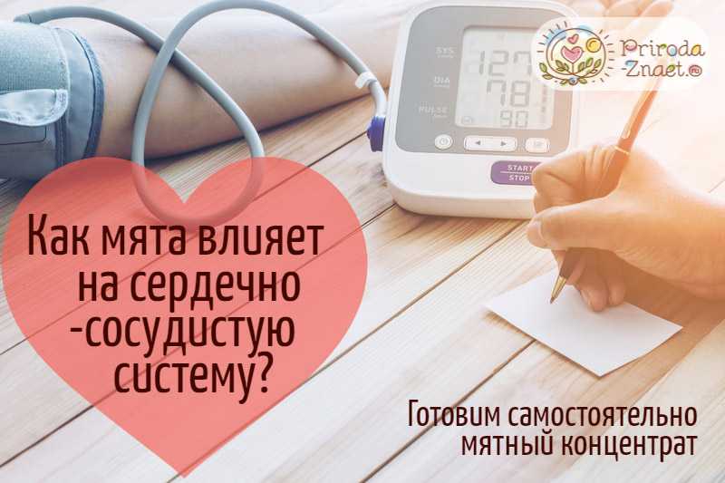 Продукты снижающие давление: список из 20 наименований при гипертонии