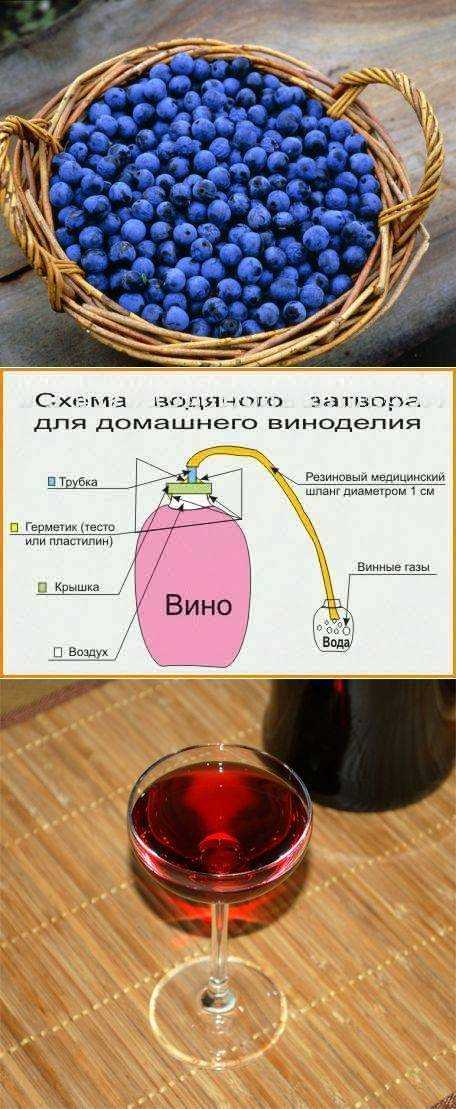 Как сделать домашнее вино из винограда в домашних условиях - простой рецепт вина из винограда изобелла и других сортов