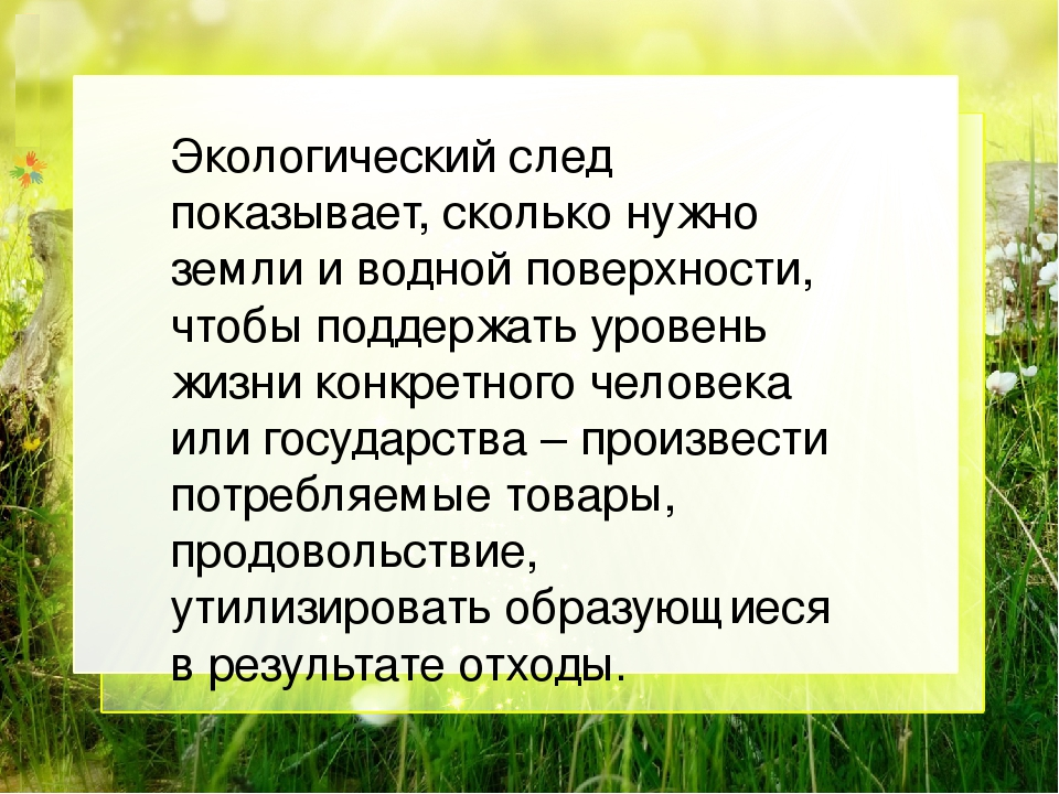 Экологический след человека - это важно знать каждому